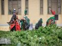 گزارش تصویری | مراسم آييني تعزيه به مناسبت شهادت حضرت رقيه (س) 